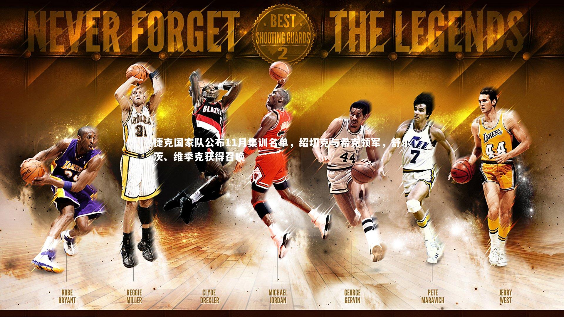 【ng体育官网】捷克国家队公布11月集训名单，绍切克与希克领军，舒尔茨、维季克获得召唤-第1张图片-NG体育(南宫体育)官方网站 - NG SPORTS